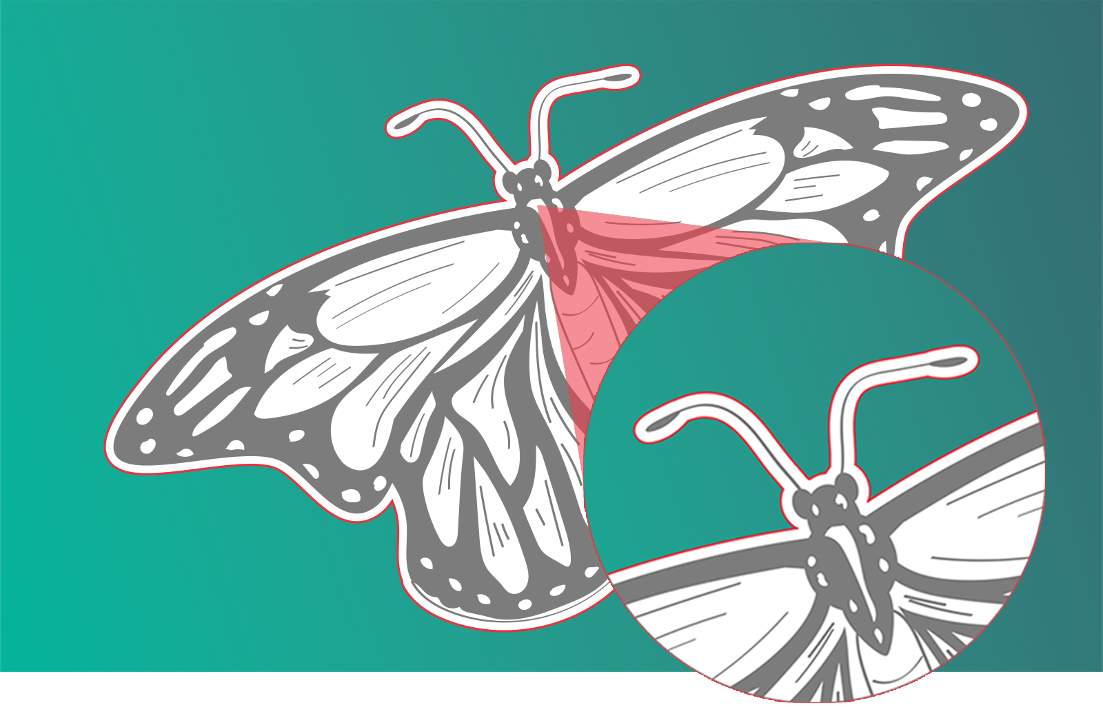 Schneidepfad Erklärung